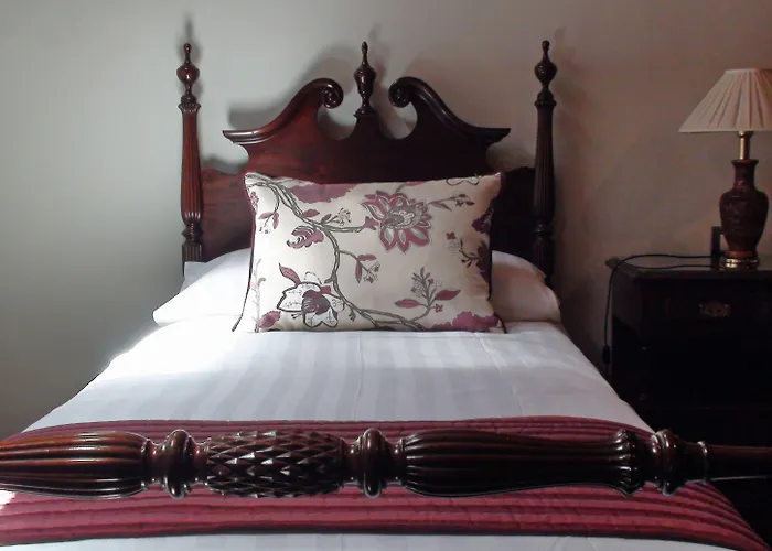 Mc San Agustin * לה לגונה